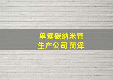 单壁碳纳米管生产公司 菏泽